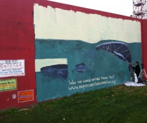 The whale story