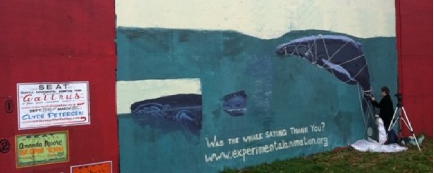 The whale story
