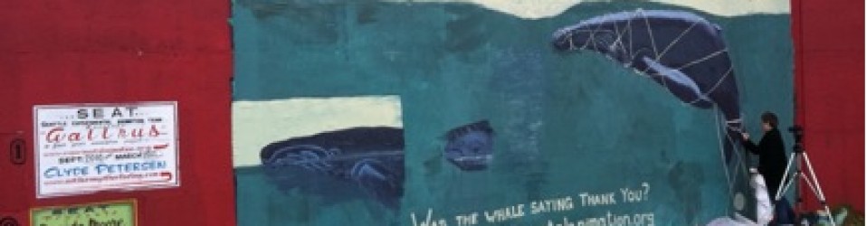 The whale story